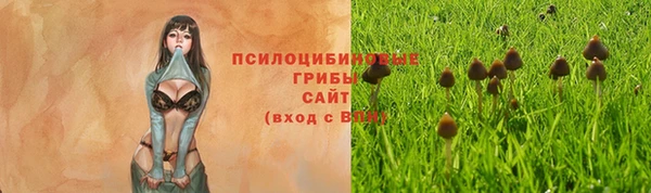 ALPHA-PVP Бородино